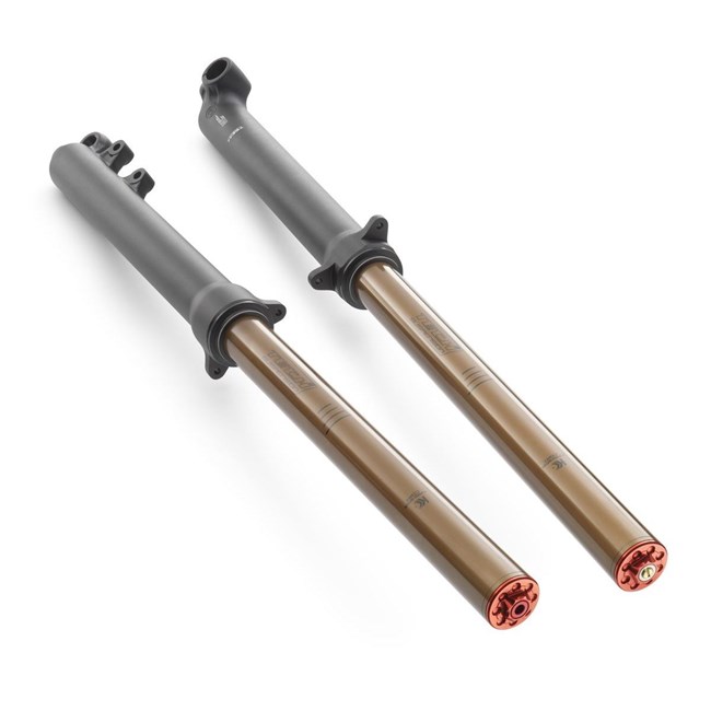 Bild von Gabel kpl. GasGas TXT GP