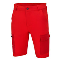 Bild von TEAM SHORTS