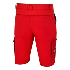 Bild von TEAM SHORTS