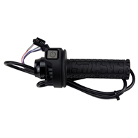 Bild von THROTTLE WITH GRIP